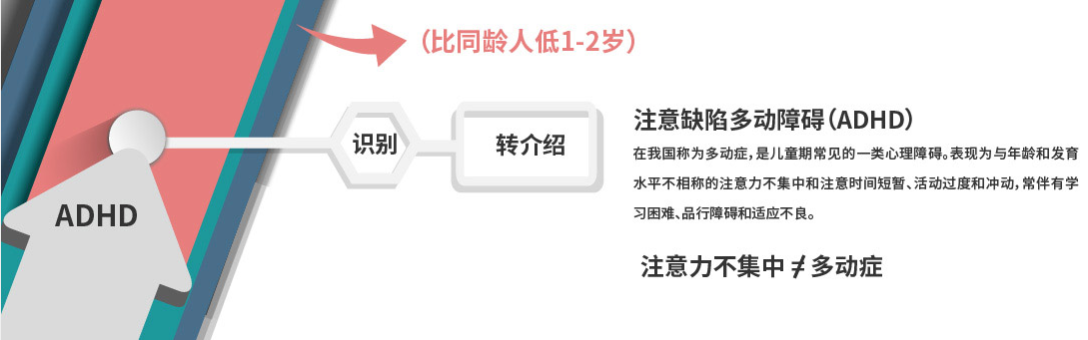 专注力谱系图(图2)